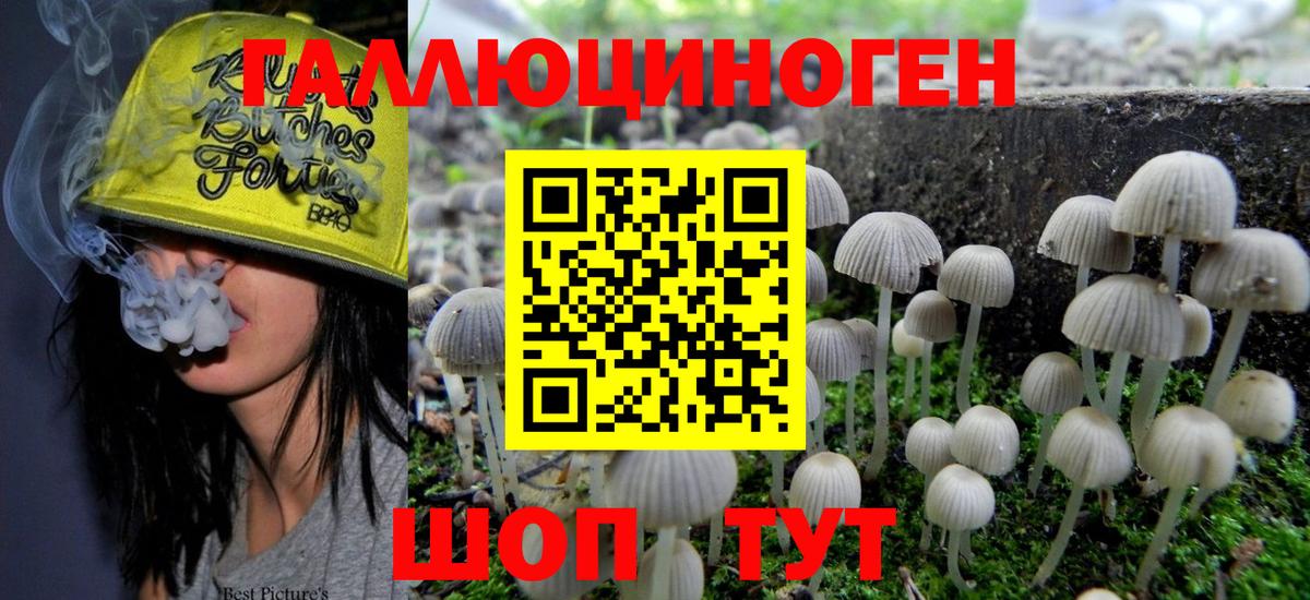 Галлюциногенные грибы прущие грибы  Вход с VPN  Псилоцибиновые грибы ЛСД  Минеральные Воды 